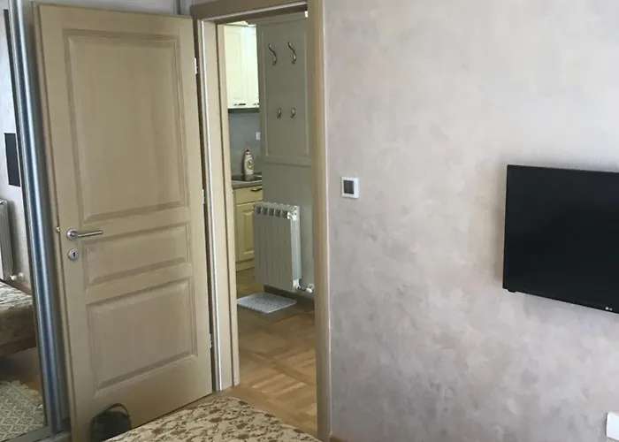 Vip Kika * 兹拉蒂博尔